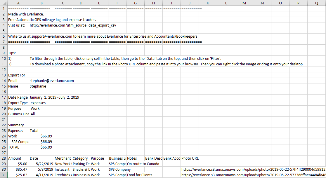 expenses_report.PNG
