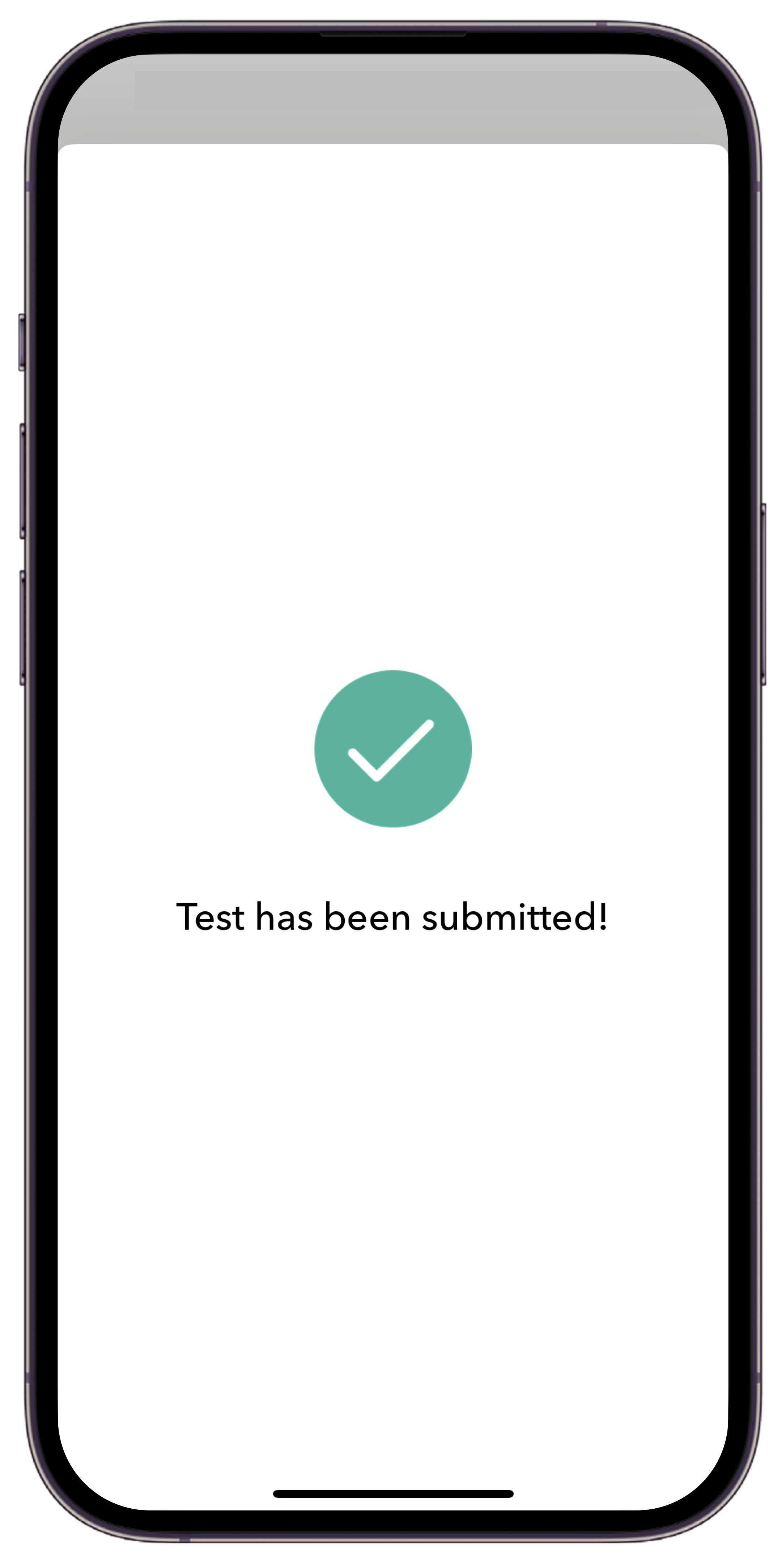 iOS_-_Report_Success.png