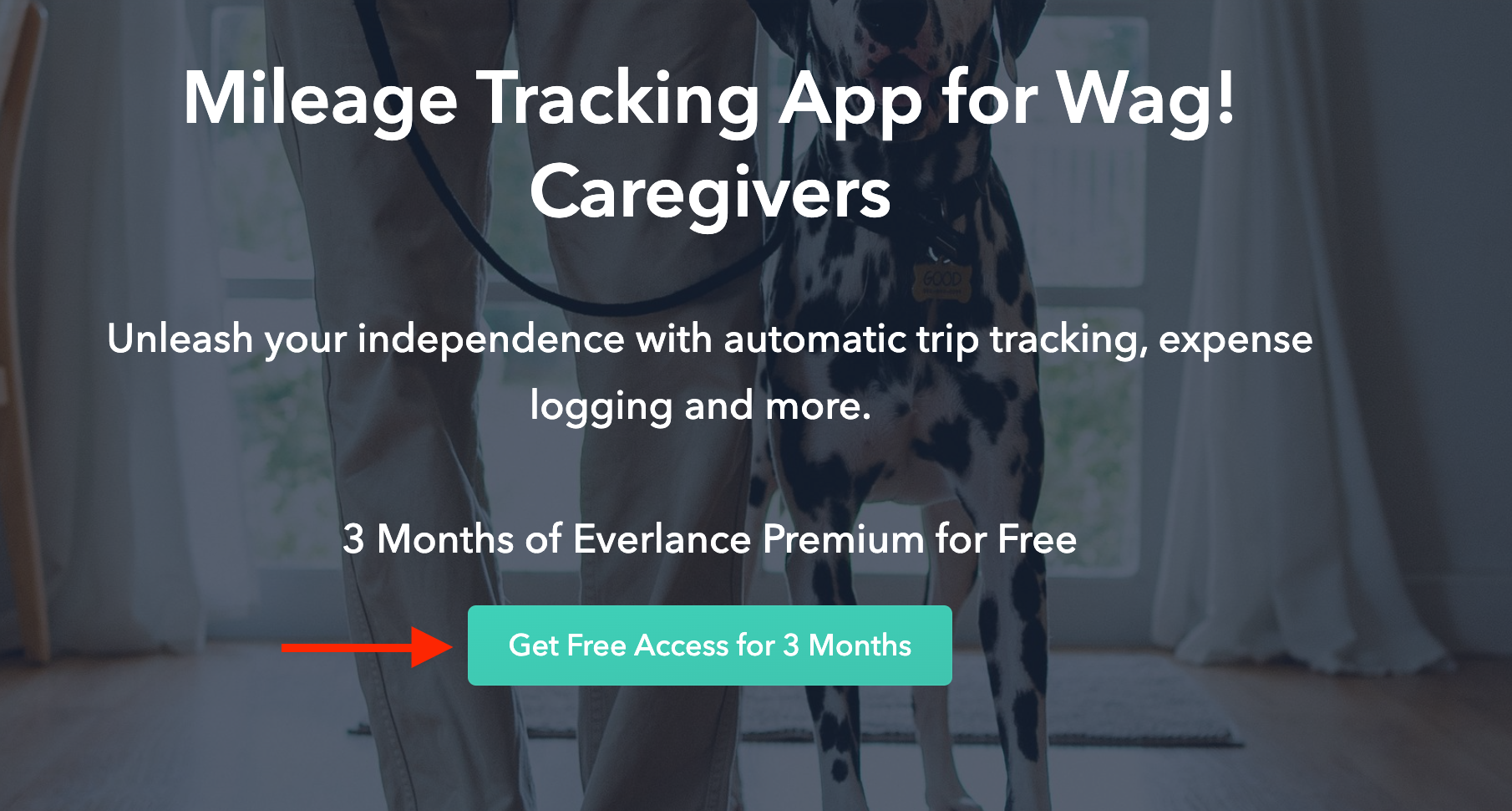 Screenshot 2024-10-17 at 9.32.06 AM.png