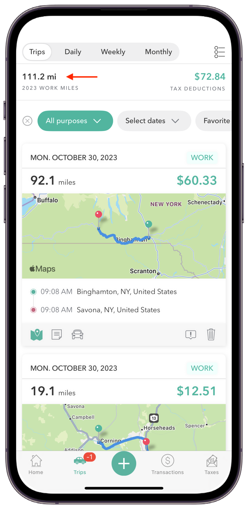 iOS - Summary Trips.png