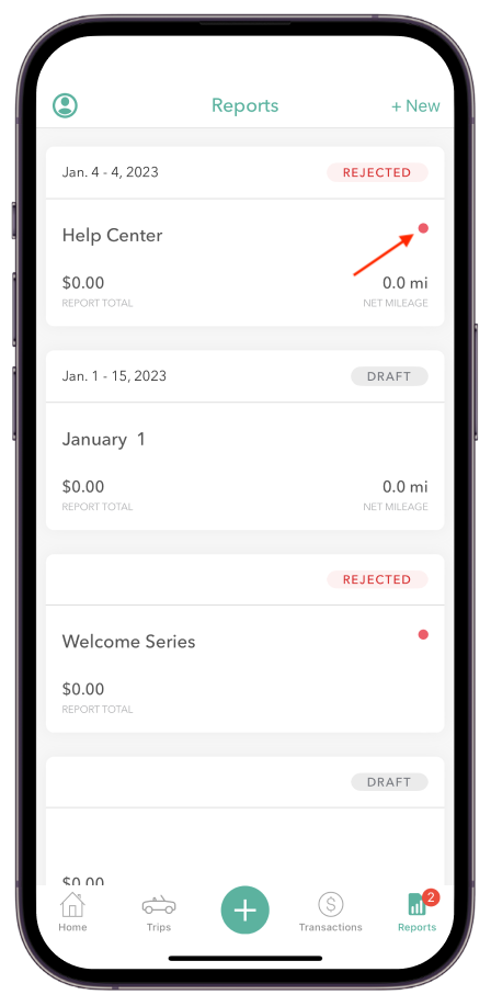 iOS-WS-Remove Trip from Report.png