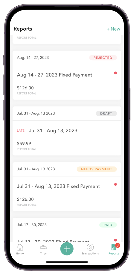 iOS-WS-Remove Trip from Report.png